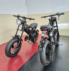 Micro electric-assisted two-wheeler"Monkey"
